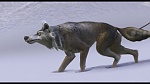Image L'Age de Glace