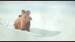L'Age de Glace 2 picture
