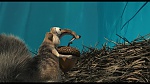 L'Age de Glace 2 picture