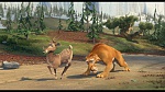 Image L'Age de Glace 3 : Le Temps des dinosaures