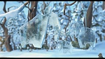 Image L'Age de Glace 3 : Le Temps des dinosaures