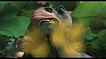 L'Age de Glace 3 : Le Temps des dinosaures picture