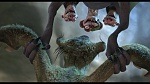 Image L'Age de Glace 3 : Le Temps des dinosaures