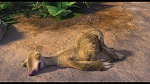 Image L'Age de Glace 3 : Le Temps des dinosaures