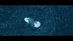 L’Âge de glace 4 : La Dérive des continents  picture