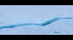 L’Âge de glace 4 : La Dérive des continents  picture