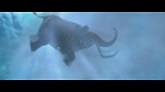 L’Âge de glace 4 : La Dérive des continents  picture