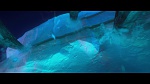 L’Âge de glace 4 : La Dérive des continents  picture