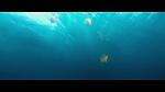 L’Âge de glace 4 : La Dérive des continents  picture