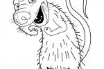 Coloriages des personnages du dessin animé