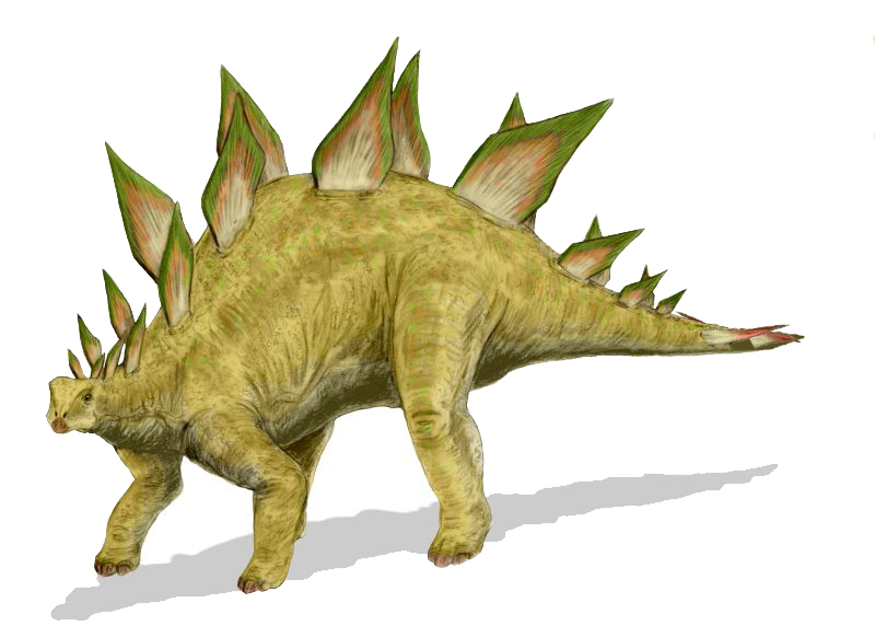Dinosaures
