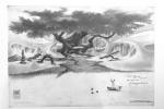 Concept art et recherches des décors du 3e film