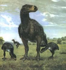 Teratornis