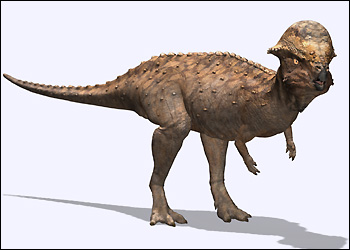 Large