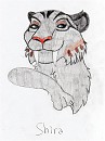 Shira