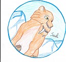 Badge Diego pour Snaki