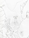 Une petite pensée pour...