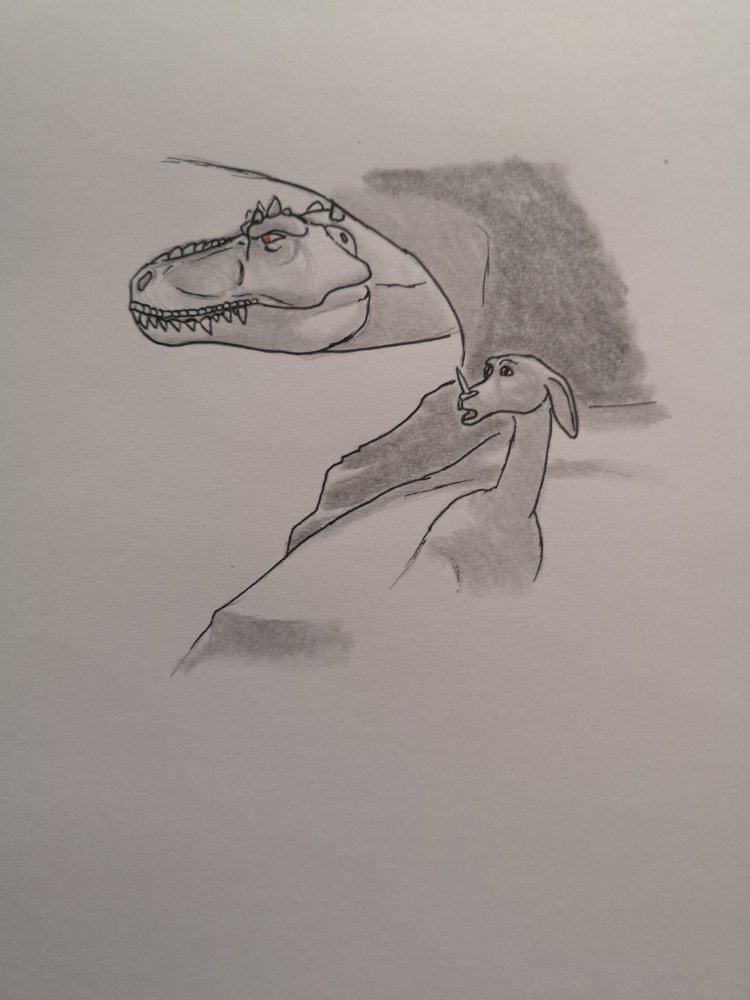 Coucou