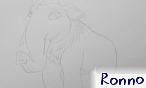 Ronno