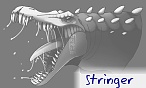 stringer