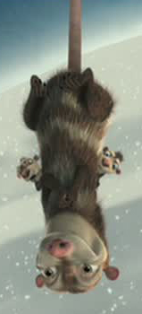Detail Mother Opossum