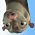 Mère opossum