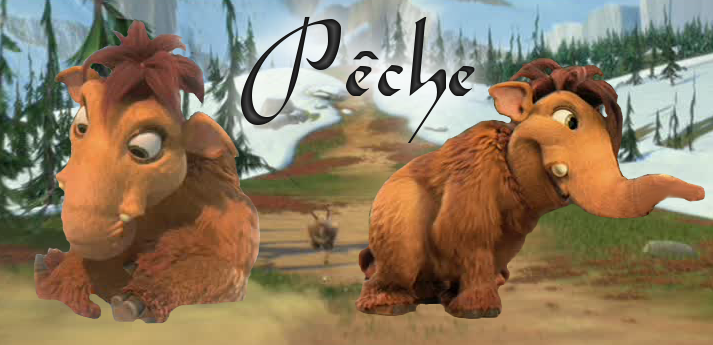 Pêche :3