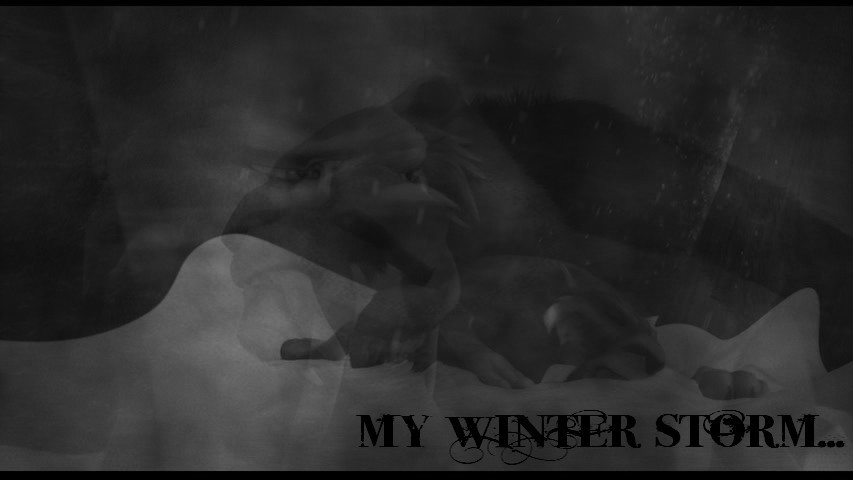 My Winter Storm