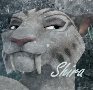 Shira