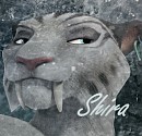 Shira