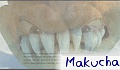 MacArryn