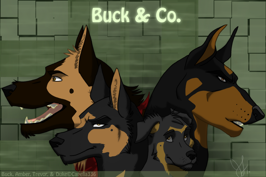 Buck Banner