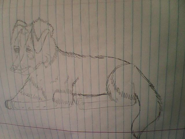 Charlie~