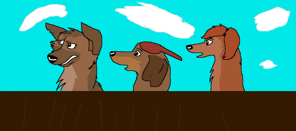 Trio
