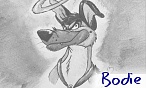 bodie