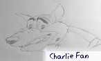 Charlie Fan