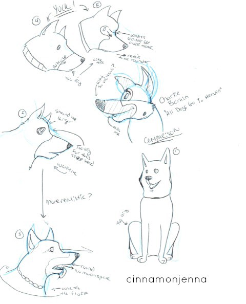 shephurr practice