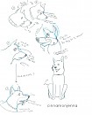 shephurr practice