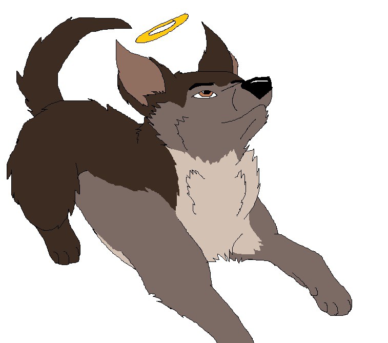 Heaven's Angel