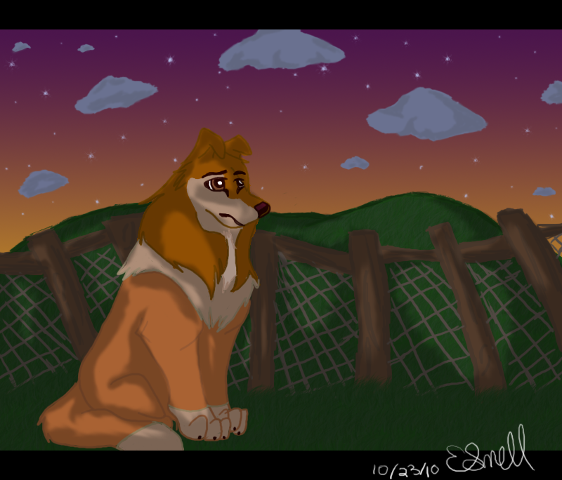 Watching the Sun Disappear