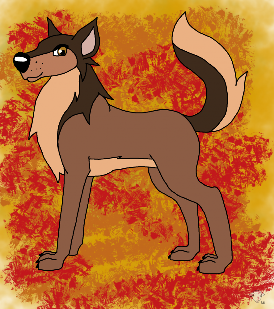Fiche design de Burt R Barkin (défi)