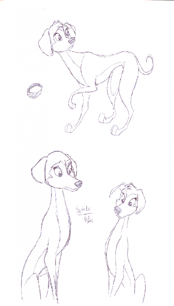 Sabella doodles