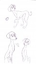 Sabella doodles