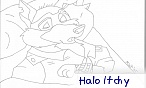 Shingo The Dingo
