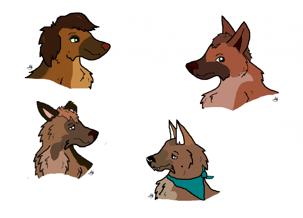  Andrew,Donna,Rosa, & Donna as pups; Head shots!