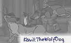 KävikTheWolfDog
