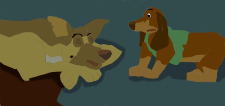 Let sleeping dogs lie