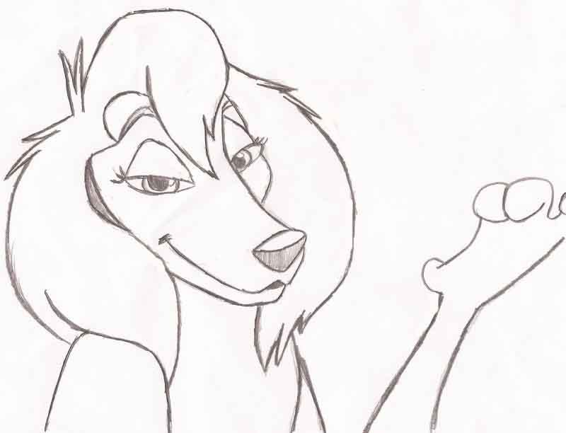 Sasha Sketch