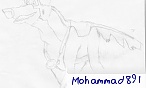 Mohammad891