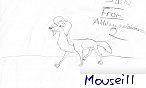 Mousei11